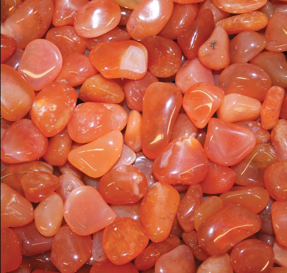 Carnelian Agate - Tumbling Rough