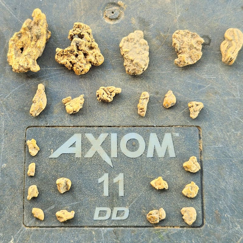 Garrett Axiom Gold Metal Detector With 13"X11" DD 11"X7" Mono Coil And Wireless Headphones | 1142720