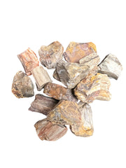 Petrified Wood - Tumbling Rough