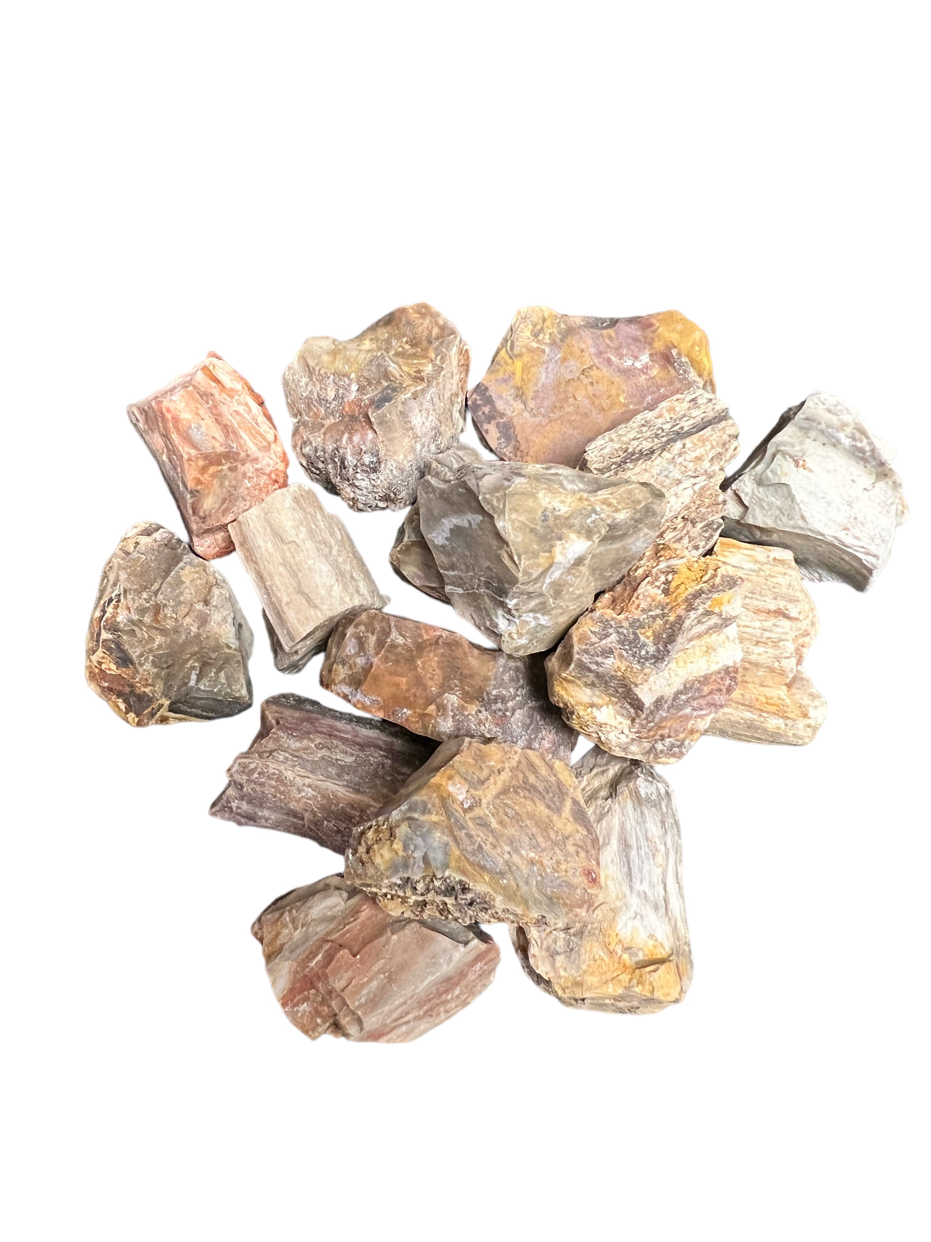 Petrified Wood - Tumbling Rough