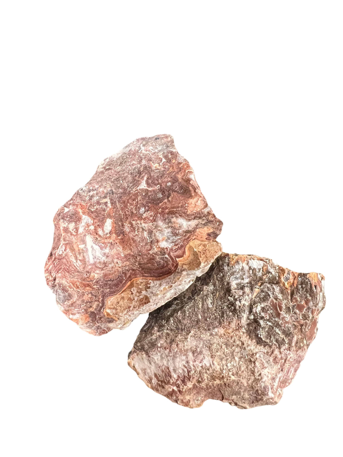 Picture Rock Rocks Rosetta Picture Rock - Tumbling Rough – Rocks Canada by All-Star Telescope